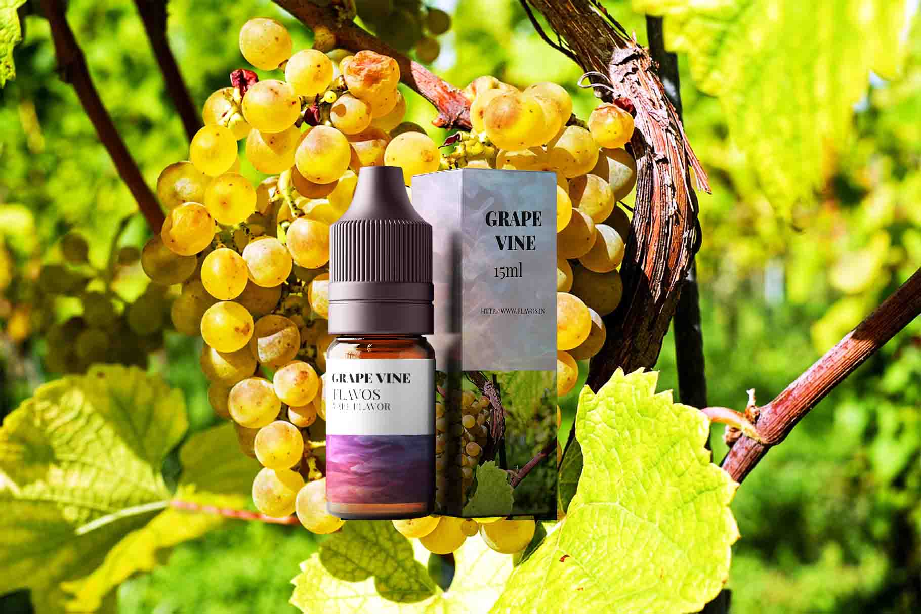 Bottle of Grape Vine flavored e-liquid with purple grapevine-themed packaging, designed for vaping devices and highlighting a rich fruity flavor profile.